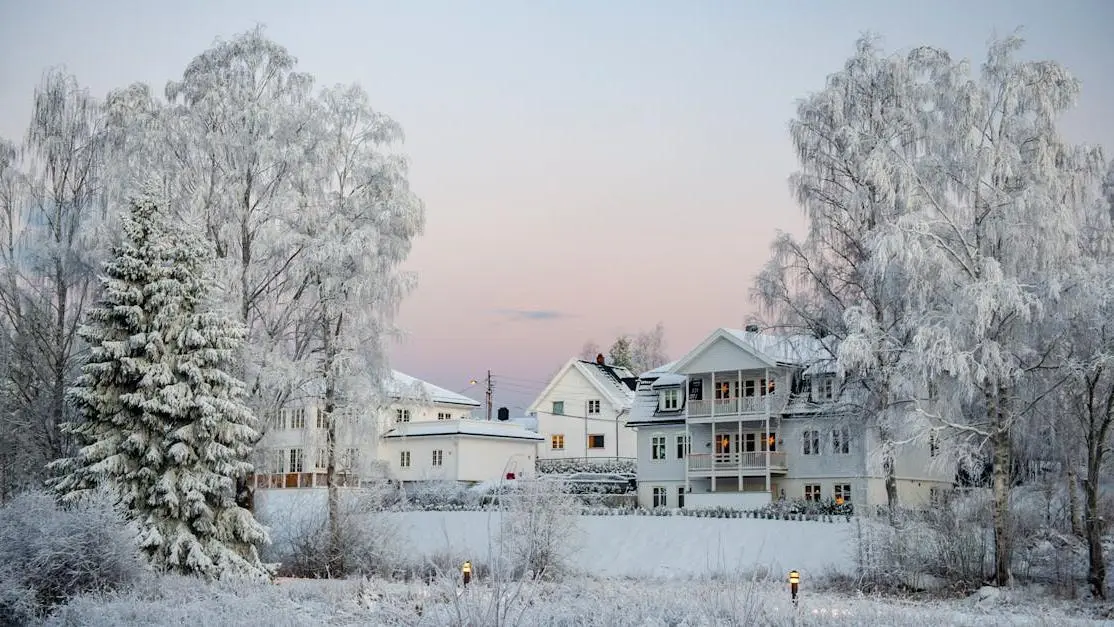 Inspiring U.S. president quotes for screenwriters on peaceful winter morning.